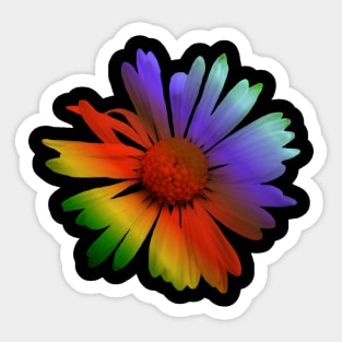 colorful rainbow flower, flowers, nature, blooms Sticker